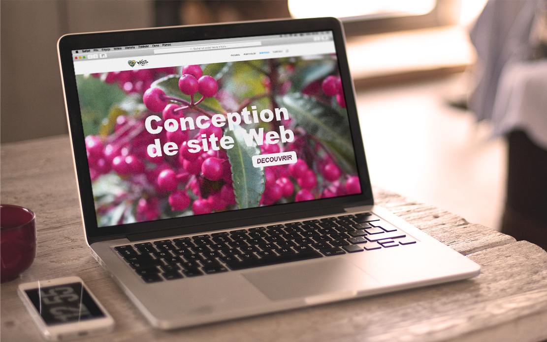Conception de site web Conception de site web